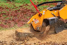 Best Utility Line Clearance  in Village Of Four Seasons, MO